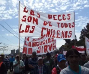 Pesca-artesanal-Chile-538x321